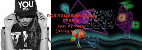 гидропоника Медвежьегорск