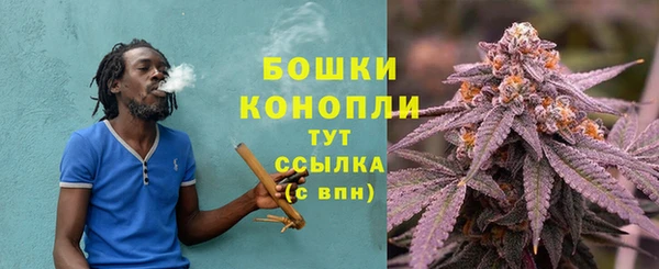 MESCALINE Богданович