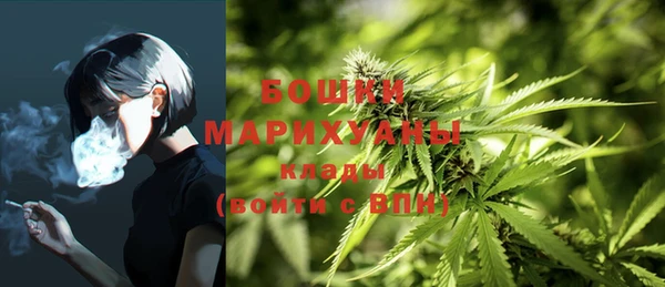 гидропоника Медвежьегорск