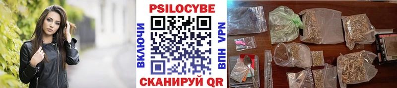 Галлюциногенные грибы Cubensis KRAKEN как зайти Оленегорск